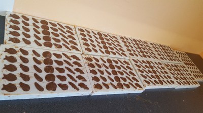 3- Séchage et démoulage du chocolat