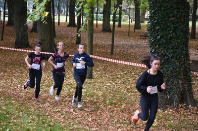 2017 NDSL cross 0022