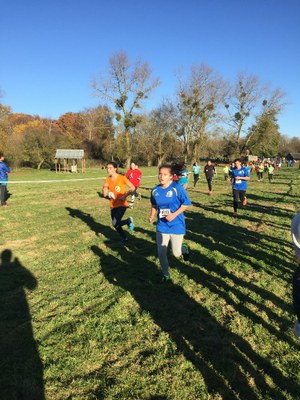 2017 NDSL AS cross 0013