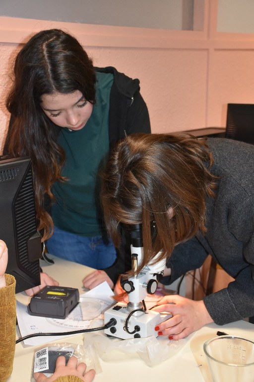 2017 NDSL 2nde  Escape game 0018