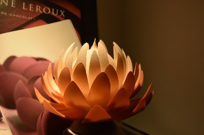 2017 NDSL paris 0050